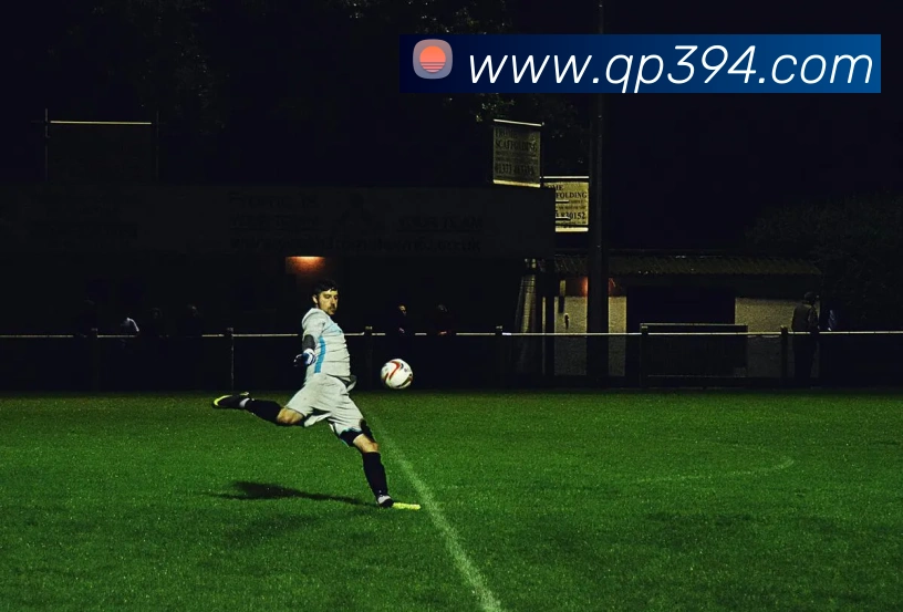 登录器